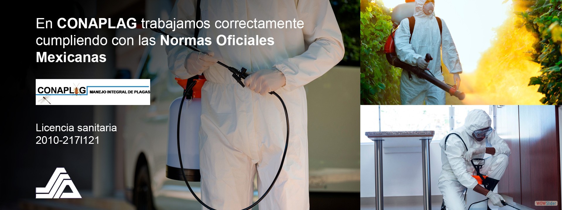 carrusel1i5 carrusel1i5